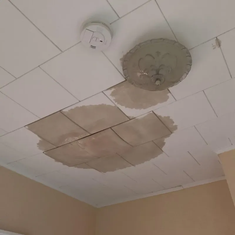 Ceiling Water Damage Repair in Barnesville, GA