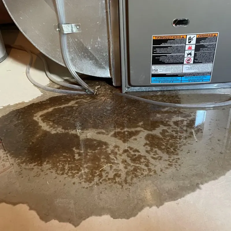 Pipe Burst and Leak Restoration in Barnesville, GA